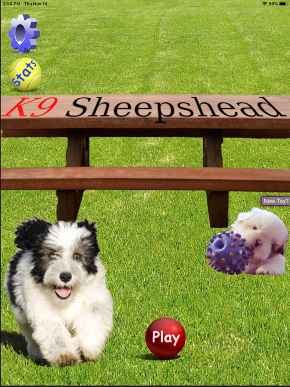 Screenshot #4 pour K9 Sheepshead: Schafkopf