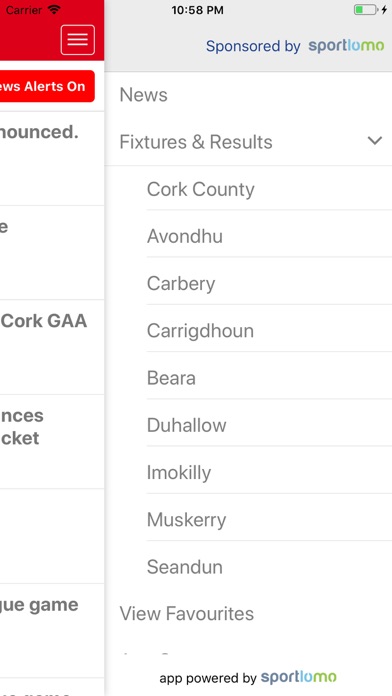 Cork GAA Screenshot