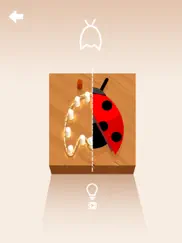 rope n roll ipad images 3