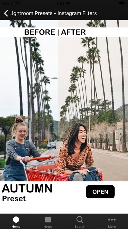 Lightroom Presets - TameCo screenshot-5