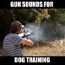 Get Gun Sounds for Dog Training for iOS, iPhone, iPad Aso Report