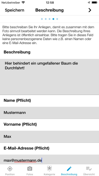 Mängelmelder Rendsburg screenshot-3