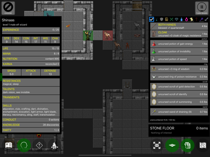 Pathos: Nethack Codex screenshot 8
