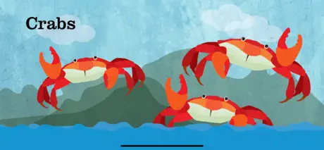 Peek-a-Zoo Underwater Sounds
