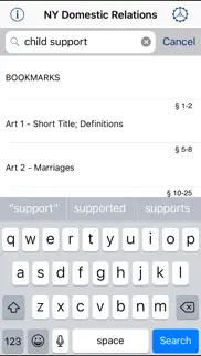 ny domestic relations law 2025 iphone images 1