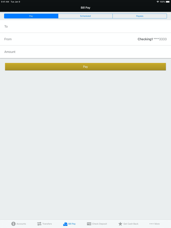 American Bank N.A. iPad screenshot 5 - Finance app
