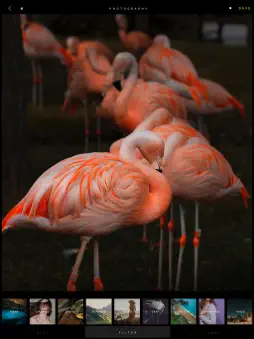 Camera 365 screenshot 8