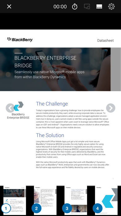 BlackBerry Enterprise BRIDGE screenshot 4