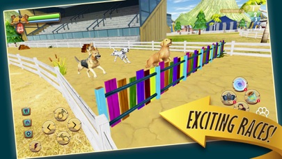 Zoro Pet Dog Raceのおすすめ画像2