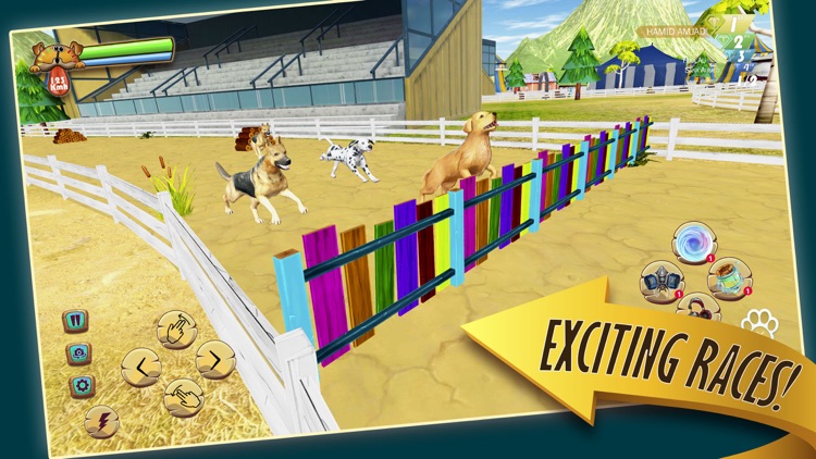 Zoro Pet Dog Race