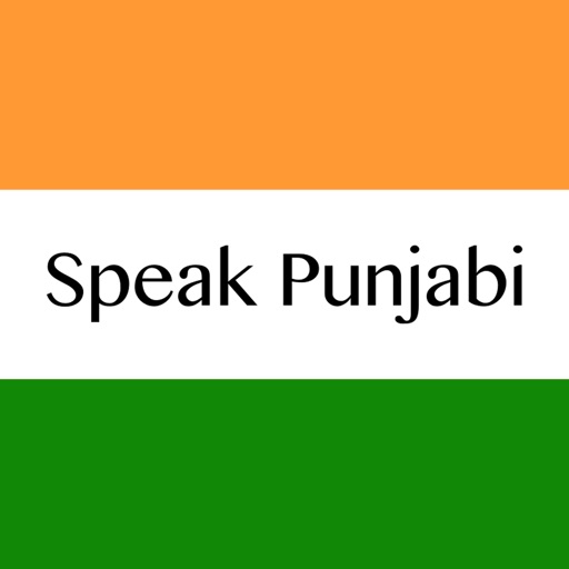 Fast - Speak Punjabi icon