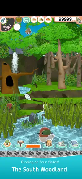 Game screenshot Toriwatch2 -fluffy small birds hack