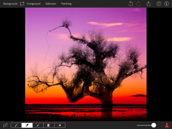 PhotoPatch Pro iPad screenshot 9 - Photo & Video app