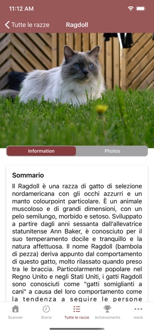 Cat Scanner su App Store
