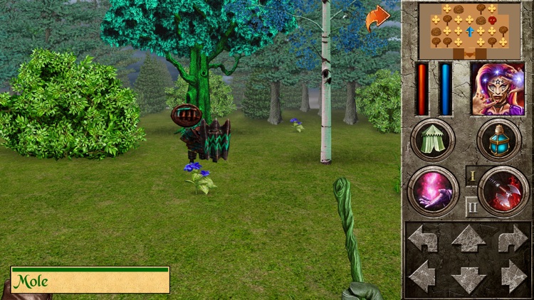 The Quest - Hero of Lukomorye4 screenshot-4