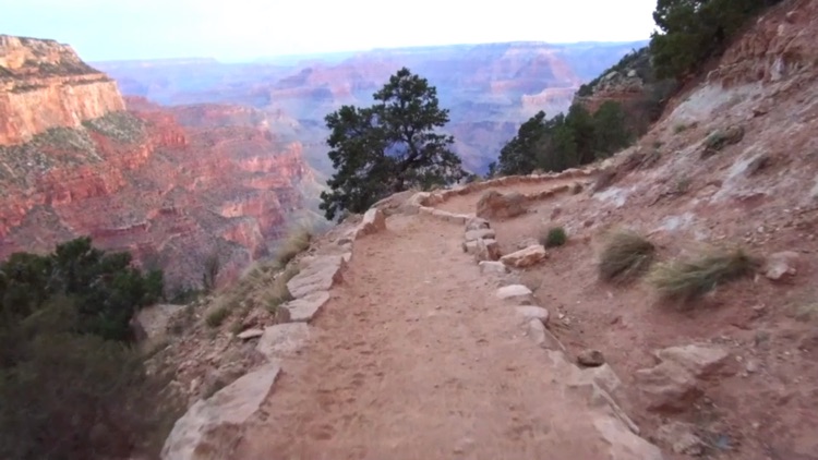 Treadmill Trails screenshot-4