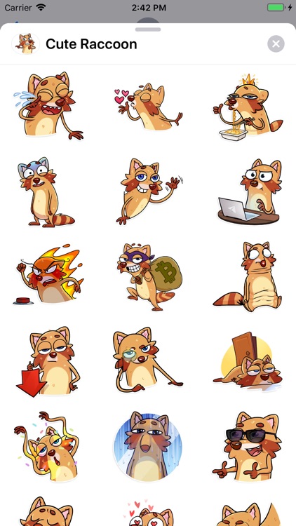 Cute Raccoon Sticker Pack