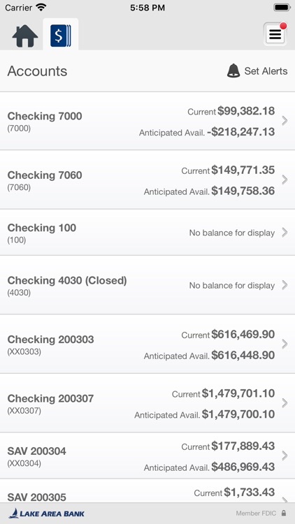 Lake Area Bank Business screenshot-3