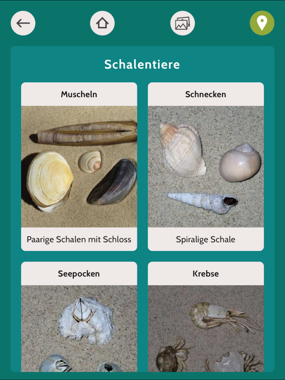 Screenshot #6 pour Baltic Explorer