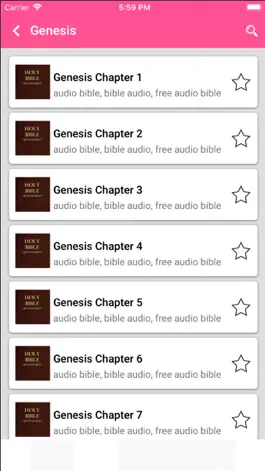 Game screenshot Audio Bible - King James Bible apk