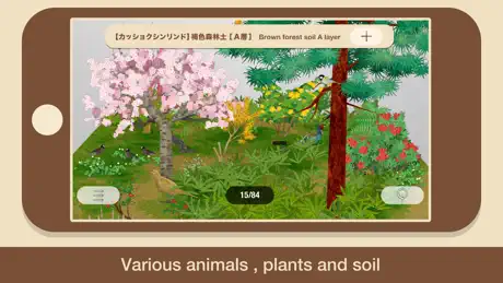 “SOIL“
