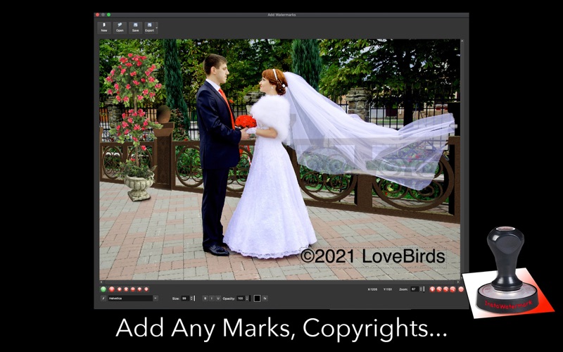 Screenshot #1 pour InstaWatermark