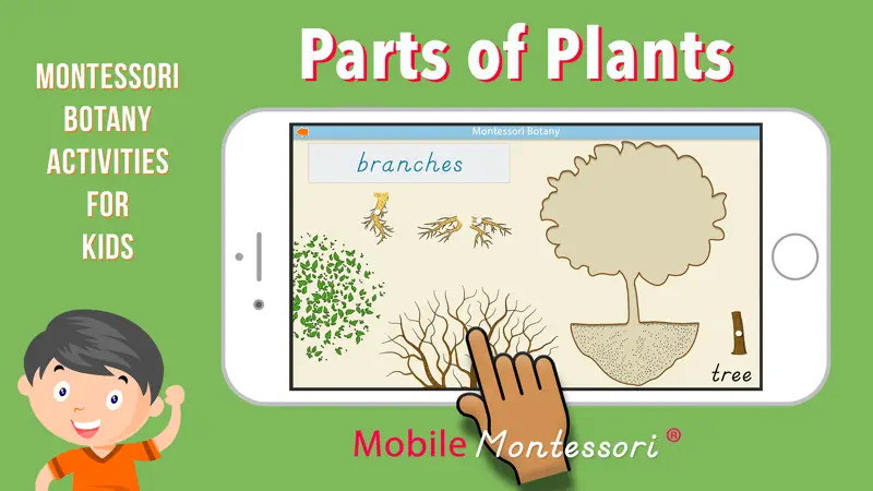 Learn Botany - Parts of Plants screenshot 1 of 9