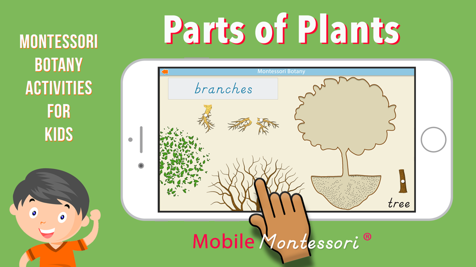 Learn Botany - Parts of Plants - 3.2 - (iOS)