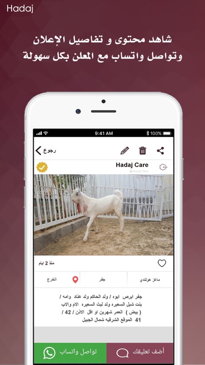 Hadaj | سوق هداج للمواشي‎