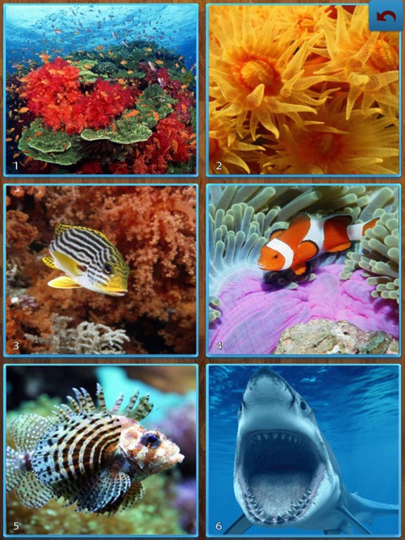 Screenshot #4 pour Sea life Jigsaw Puzzles -Titan