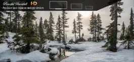 Game screenshot Peaceful Snowfall HD apk