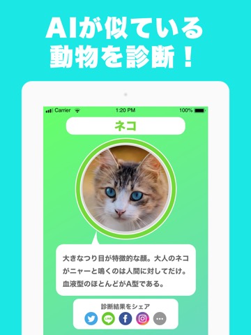 似てる動物を診断 顔診断アプリ どうぶつカメラ! AIが判定のおすすめ画像1