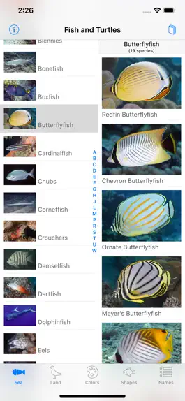Game screenshot Palmyra Atoll Nature Guide apk