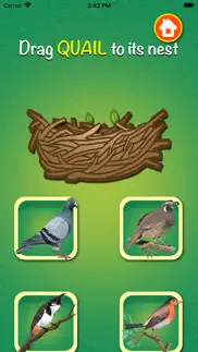 learn about birds iphone images 3