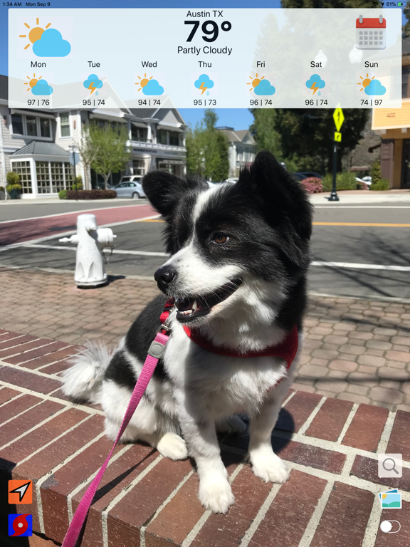 Hurricane Tracker Weather Pup iPad screenshot 8 - Weather app