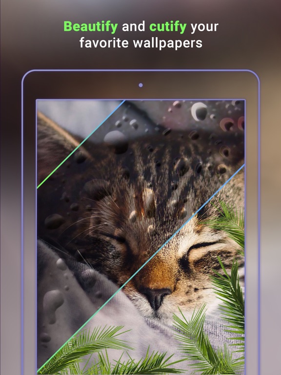 Cute Wallpapers X iPad screenshot 5 - Photo & Video app