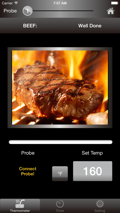 Screenshot #1 pour OBH Nordica BBQ