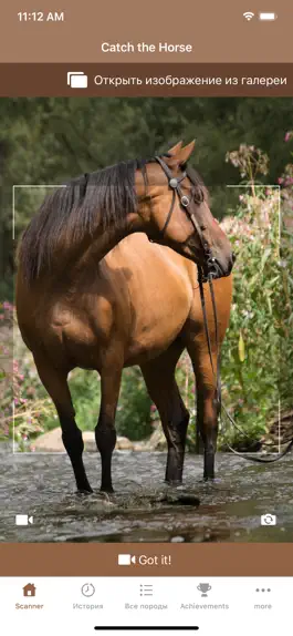 Game screenshot Horse Scanner mod apk