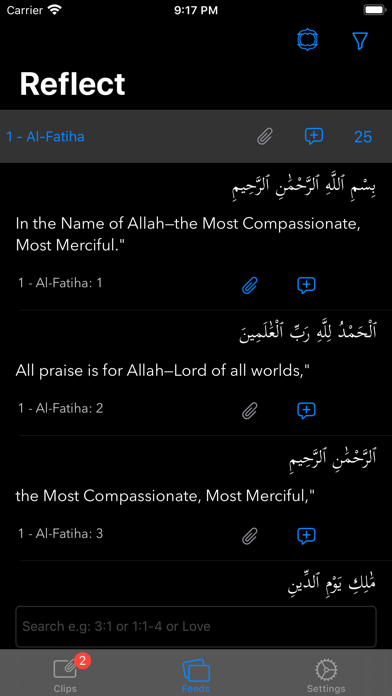 QuranReflect Screenshot