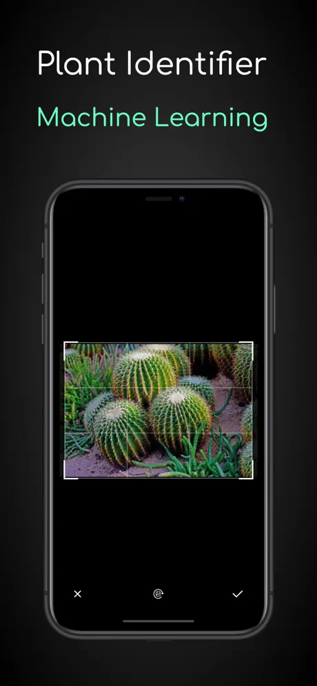 植物の同定-撮ったら、判る-1秒植物図鑑
