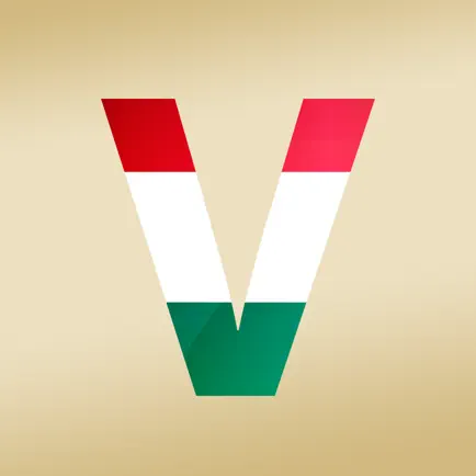 Hungarian Verb Conjugation Читы