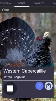bird sounds and bird calls айфон картинки 4