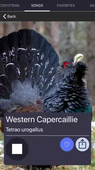 Bird Sounds and Bird Calls iphone bilder 3