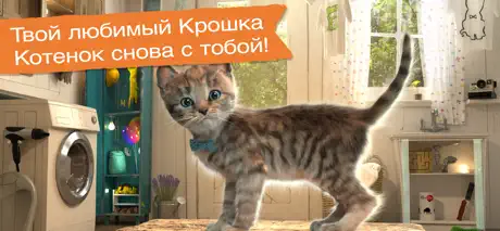 Маленький котенок- Приключения