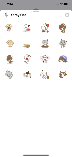 Lovely Stray Cat(圖2)-速報App