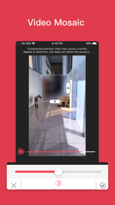 Delogo - Video editing tool screenshot