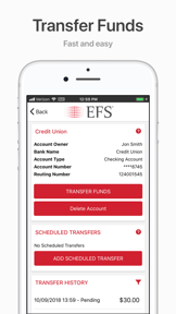 EFS PayControl screenshot