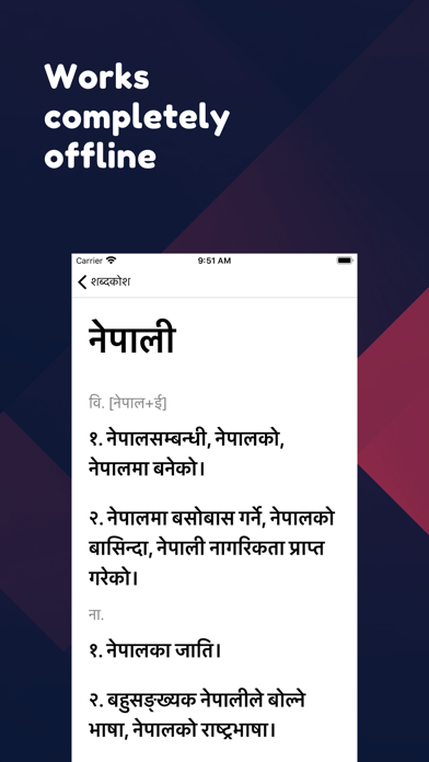 प्रज्ञा नेपाली बृहत् शब्दकोशのおすすめ画像3