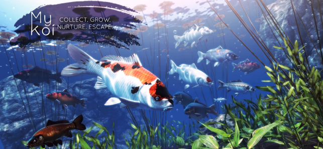 My Koi Screenshot