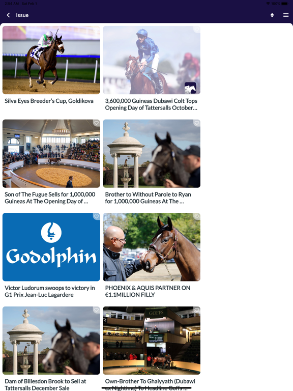 We Horse Racing iPad screenshot 2 - Entertainment app